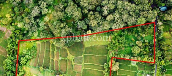  قطعة أرض في West Nusa Tenggara, Indonesia 26543متر مربع رقم 4109 16