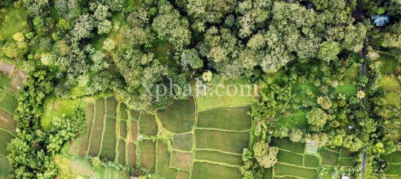  قطعة أرض في West Nusa Tenggara, Indonesia 26543متر مربع رقم 4109 14