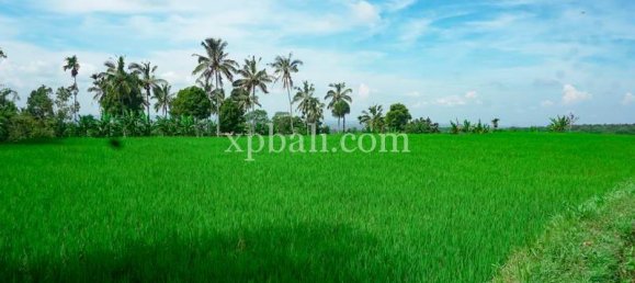  قطعة أرض في West Nusa Tenggara, Indonesia 26543متر مربع رقم 4109 6