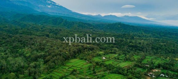  قطعة أرض في West Nusa Tenggara, Indonesia 26543متر مربع رقم 4109 24