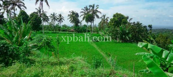  قطعة أرض في West Nusa Tenggara, Indonesia 26543متر مربع رقم 4109 7