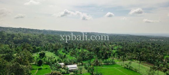  قطعة أرض في West Nusa Tenggara, Indonesia 26543متر مربع رقم 4109 22