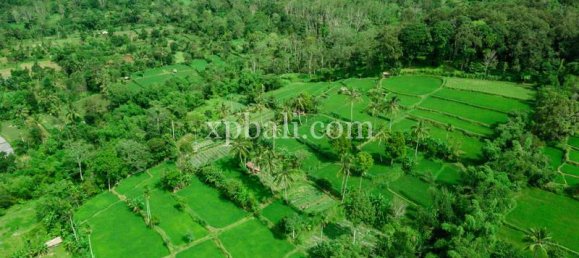  قطعة أرض في West Nusa Tenggara, Indonesia 26543متر مربع رقم 4109 9