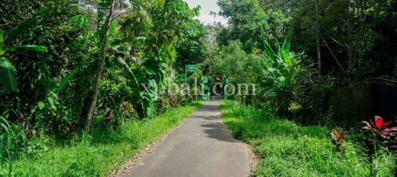  قطعة أرض في West Nusa Tenggara, Indonesia 26543متر مربع رقم 4109 4