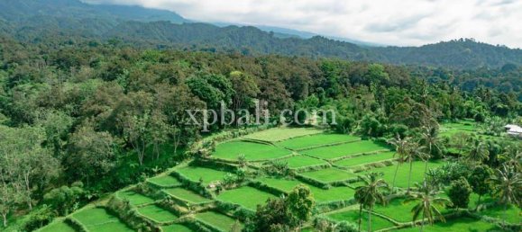  قطعة أرض في West Nusa Tenggara, Indonesia 26543متر مربع رقم 4109 13