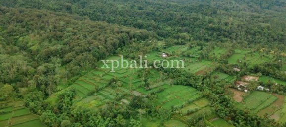  قطعة أرض في West Nusa Tenggara, Indonesia 26543متر مربع رقم 4109 25