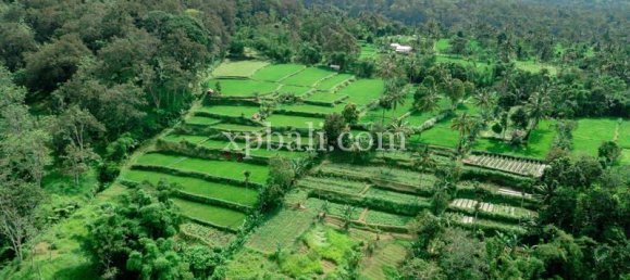  قطعة أرض في West Nusa Tenggara, Indonesia 26543متر مربع رقم 4109 10