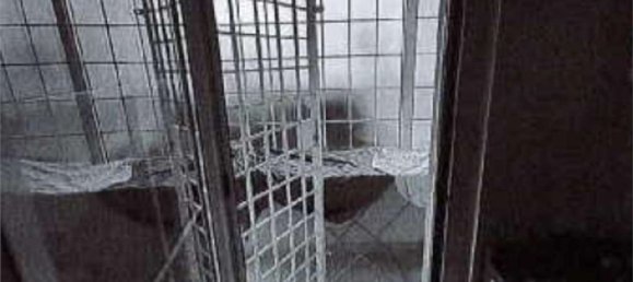 5-Zimmer Haus in Anzio, Italy, Nr. 93207 6