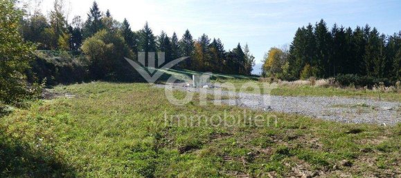  Land in Barnbach, Austria No. 16761 7