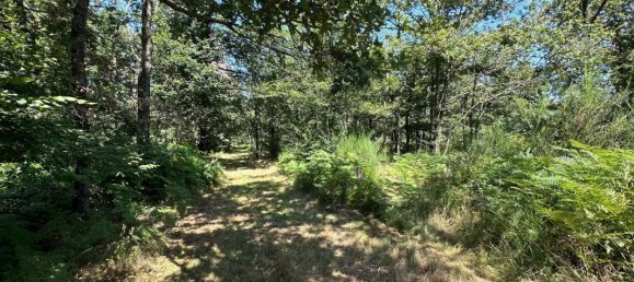 3 Schlafzimmer Haus in Chateaumeillant, France, Nr. 159389 60