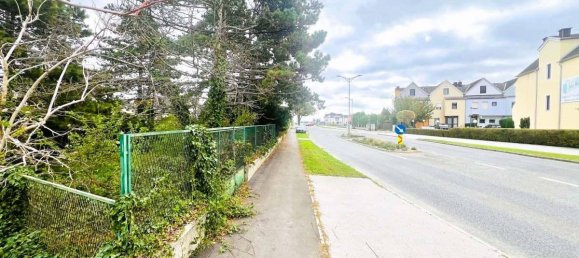 Grundstück in Gänserndorf, Austria, Nr. 218357 3