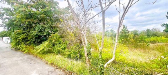 Grundstück in Gänserndorf, Austria, Nr. 218357 4