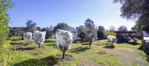 5 Schlafzimmer Villa in Alaior, Spain, Nr. 4992 18