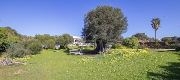 5 Schlafzimmer Villa in Alaior, Spain, Nr. 4992 15