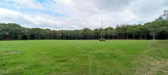  قطعة أرض في Malguenac, France رقم 335592 7