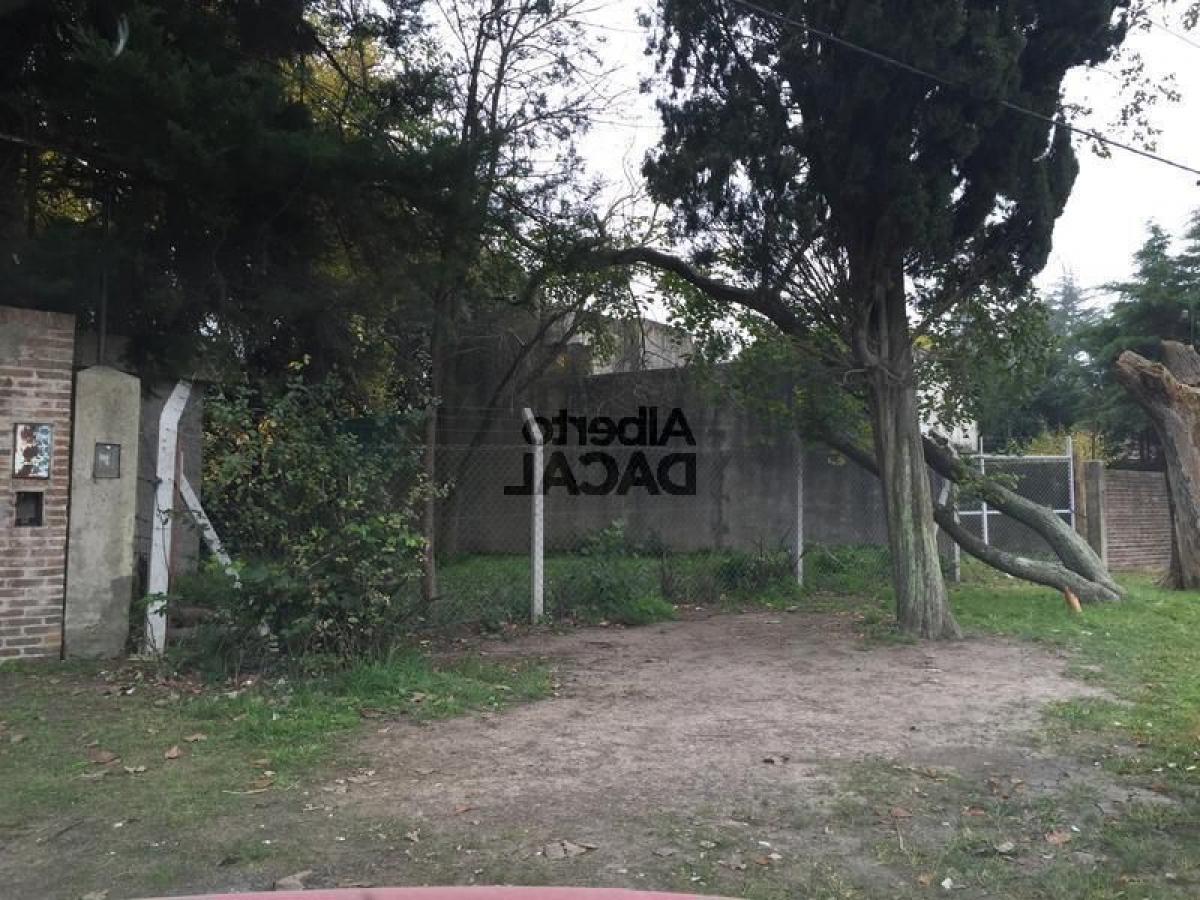  Land in Campo Creado, Argentina No. 41541