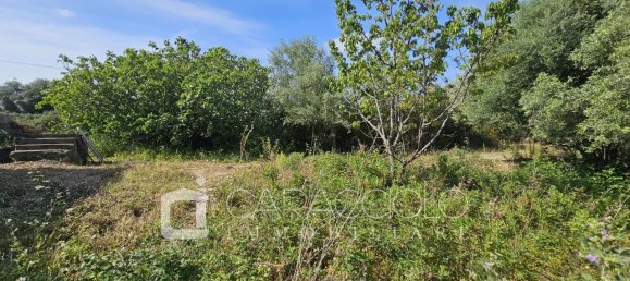 10 rooms Villa in Posada, Italy No. 134367 44