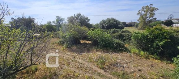 10 rooms Villa in Posada, Italy No. 134367 43