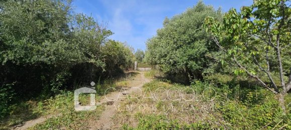 10 rooms Villa in Posada, Italy No. 134367 31