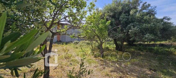 10 rooms Villa in Posada, Italy No. 134367 38