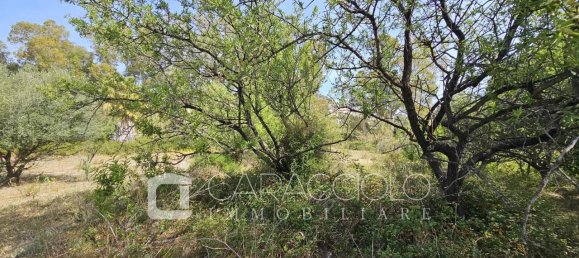 10 rooms Villa in Posada, Italy No. 134367 30