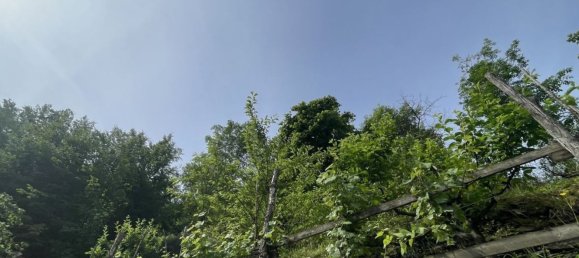 3 rooms Villa in Cogorno, Italy No. 193417 47