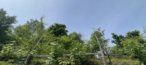 3 rooms Villa in Cogorno, Italy No. 193417 29