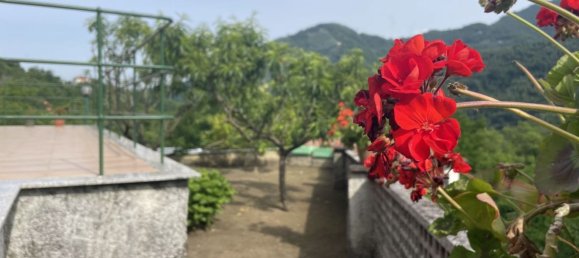 3 rooms Villa in Cogorno, Italy No. 193417 46