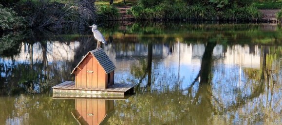 3 Schlafzimmer Wohnung in Neuilly-sur-Marne, France, Nr. 177155 43