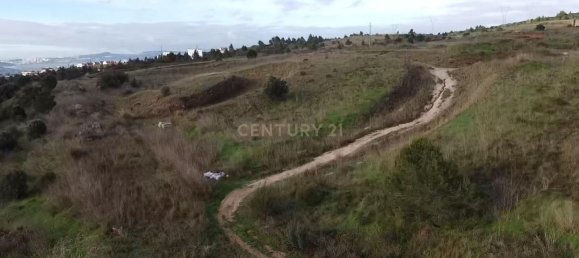 143000m² Land in Vialonga, Portugal No. 120147 7