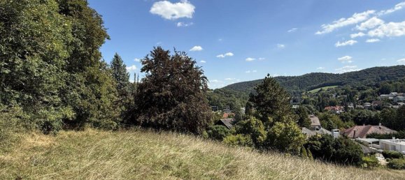  قطعة أرض في Klosterneuburg, Austria 2521متر مربع رقم 247501 3