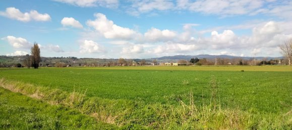 27310m² Land in Foligno, Italy No. 123686 6