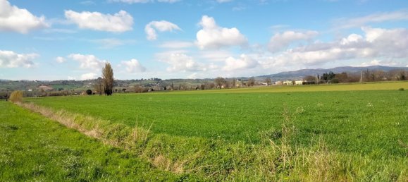 27310m² Land in Foligno, Italy No. 123686 16