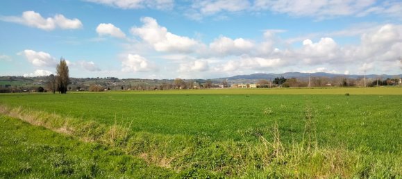 27310m² Land in Foligno, Italy No. 123686 19