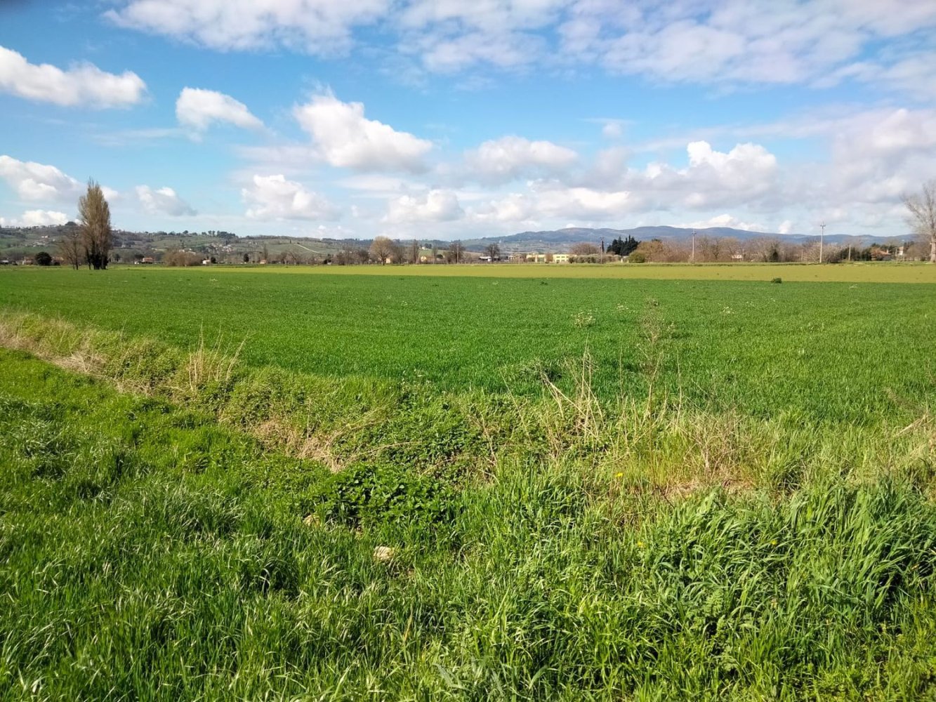 27310m² Land in Foligno, Italy No. 123686