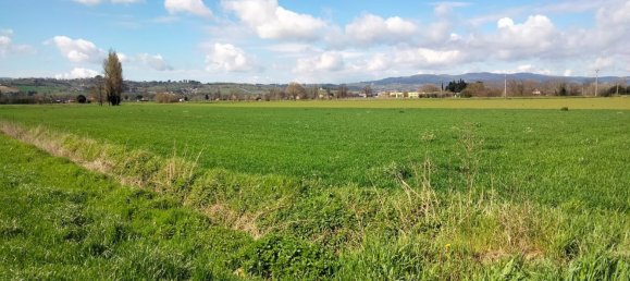 27310m² Land in Foligno, Italy No. 123686 18