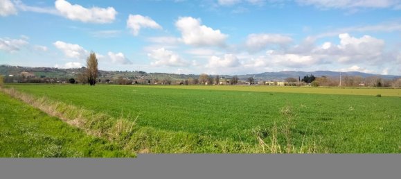 27310m² Land in Foligno, Italy No. 123686 4