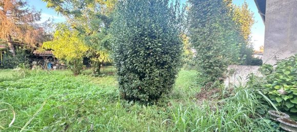 5 chambres Maison à Castelletto Monferrato, Italy No. 339564 4