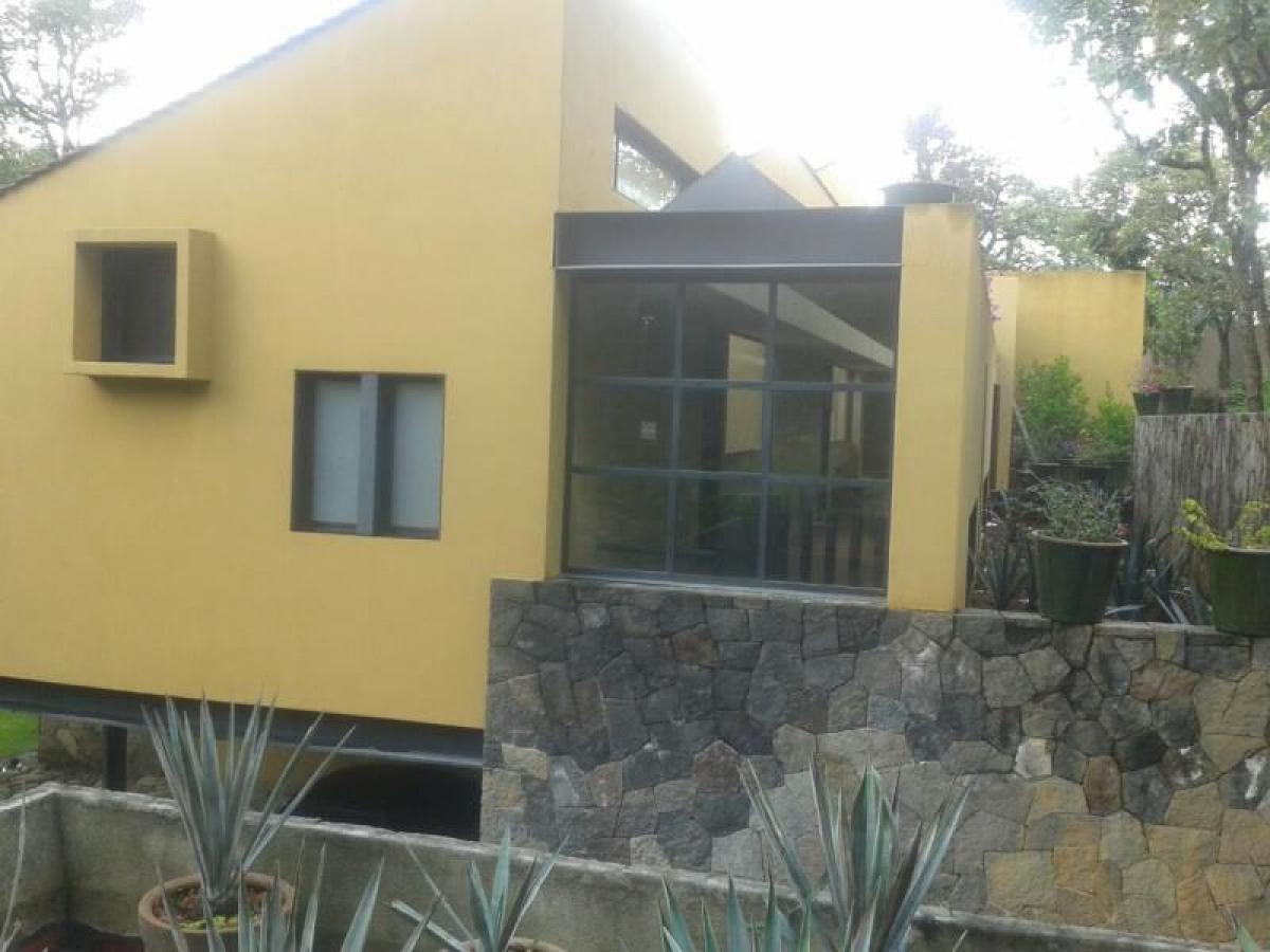 6 bedrooms House in Heroica Matamoros, Mexico No. 224060