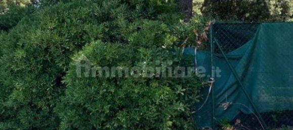 5 Schlafzimmer Villa in Ancona, Italy, Nr. 330679 2