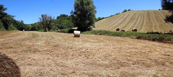 4 bedrooms House in Lezat-sur-Leze, France No. 105125 5