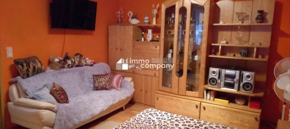 4 rooms House in Lackendorf, Austria No. 19475 11