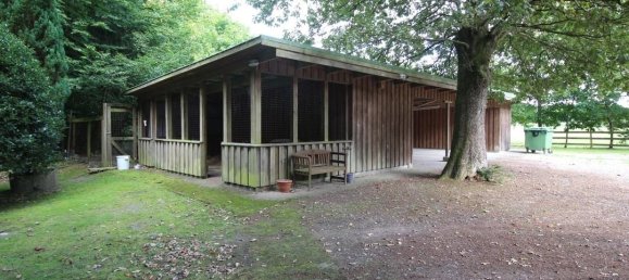 10-Zimmer Hotel in Nordfriesland, Germany, Nr. 28474 13