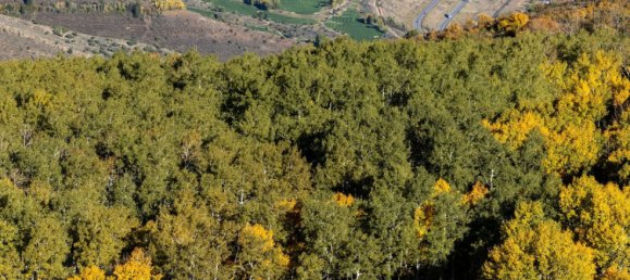 4 Schlafzimmer Gewerbliche Immobilie in Wolcott, USA, Nr. 65 18