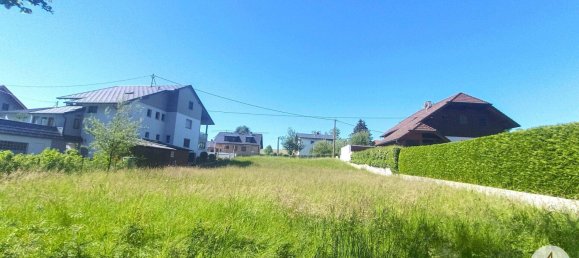  قطعة أرض في Tollet, Austria 1320متر مربع رقم 212578 13