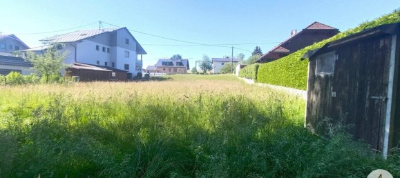  قطعة أرض في Tollet, Austria 1320متر مربع رقم 212578 16