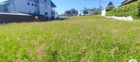  قطعة أرض في Tollet, Austria 1320متر مربع رقم 212578 19