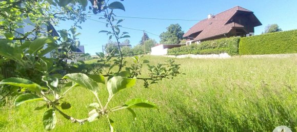  قطعة أرض في Tollet, Austria 1320متر مربع رقم 212578 18