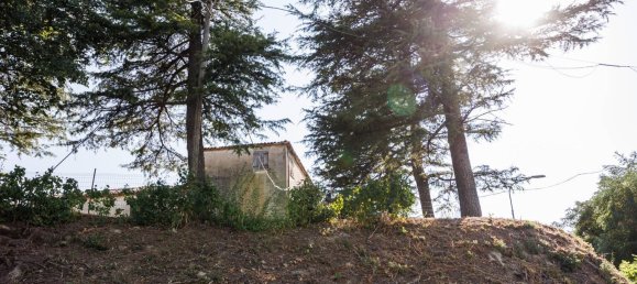 10 bedrooms House in Roncofreddo, Italy No. 347741 41