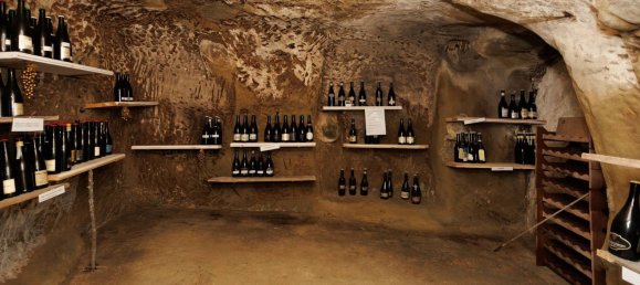 10 bedrooms House in Roncofreddo, Italy No. 347741 8